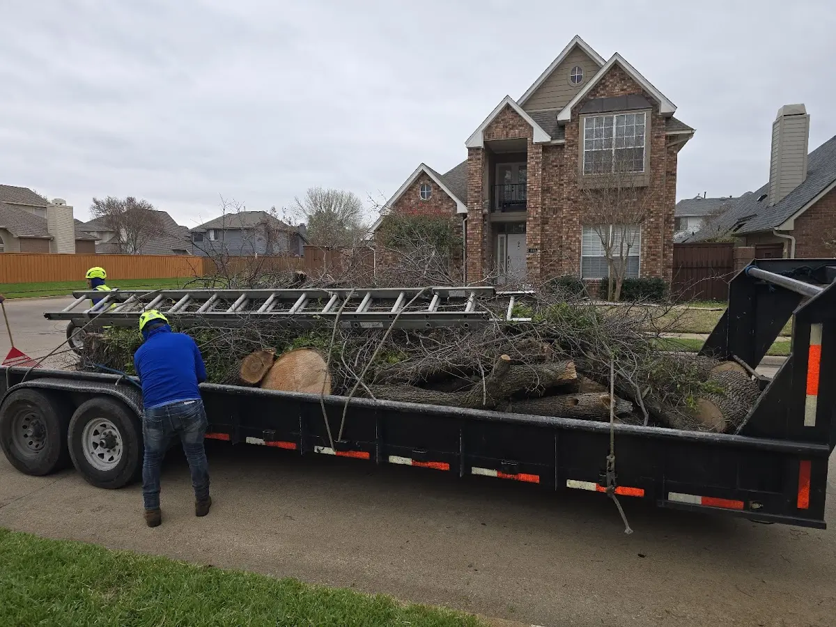 Expert Lot Clearing with proper safety equipment in Fletcher